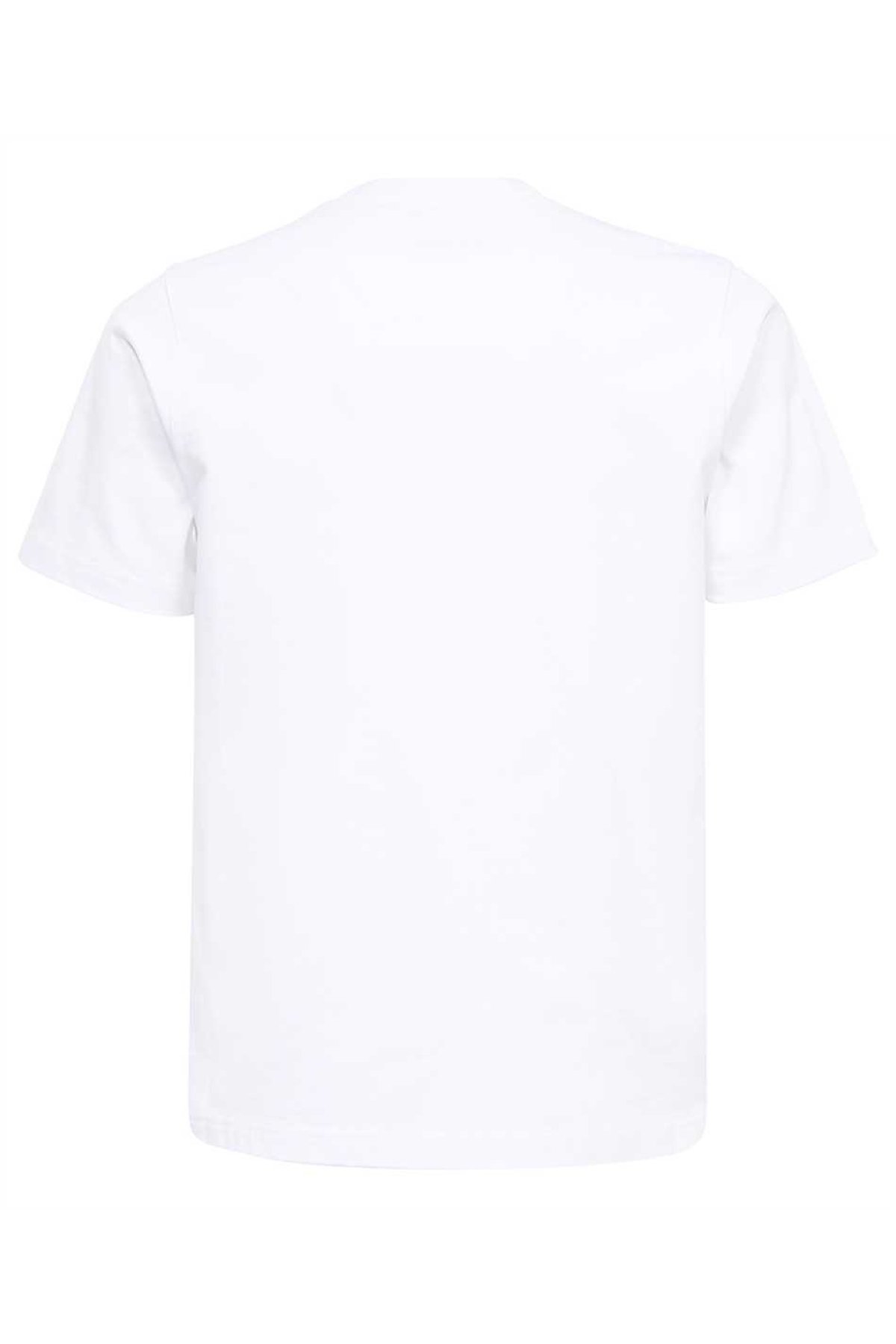 Casa blanca MS23-JTS-001-01