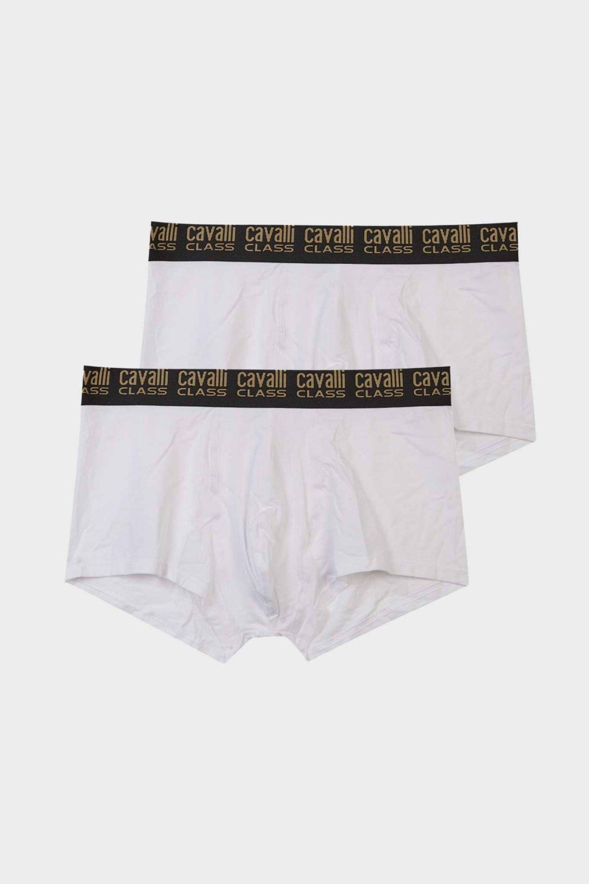 QXO01F JD003-Cavalli Class