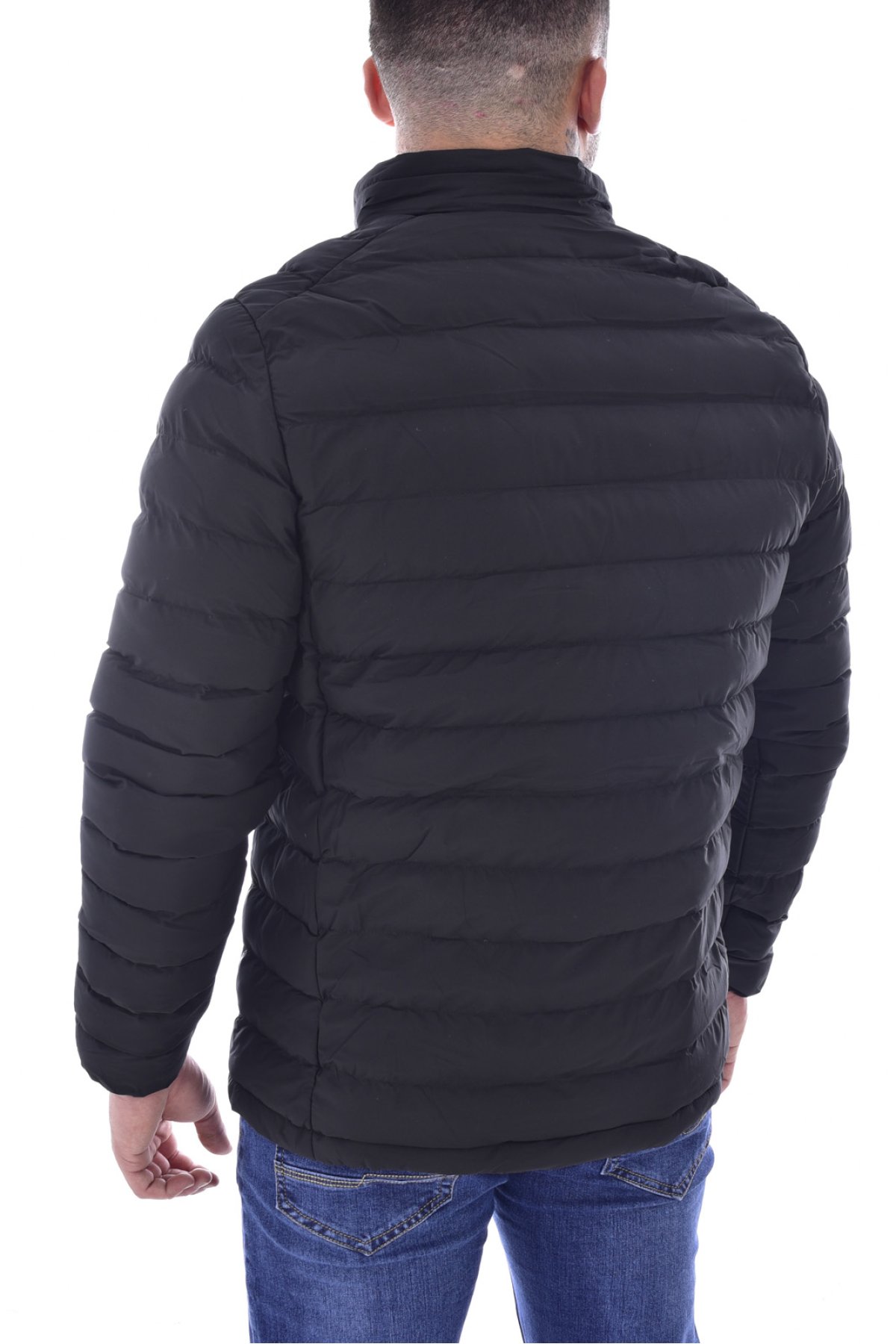 Leo gutti 5599