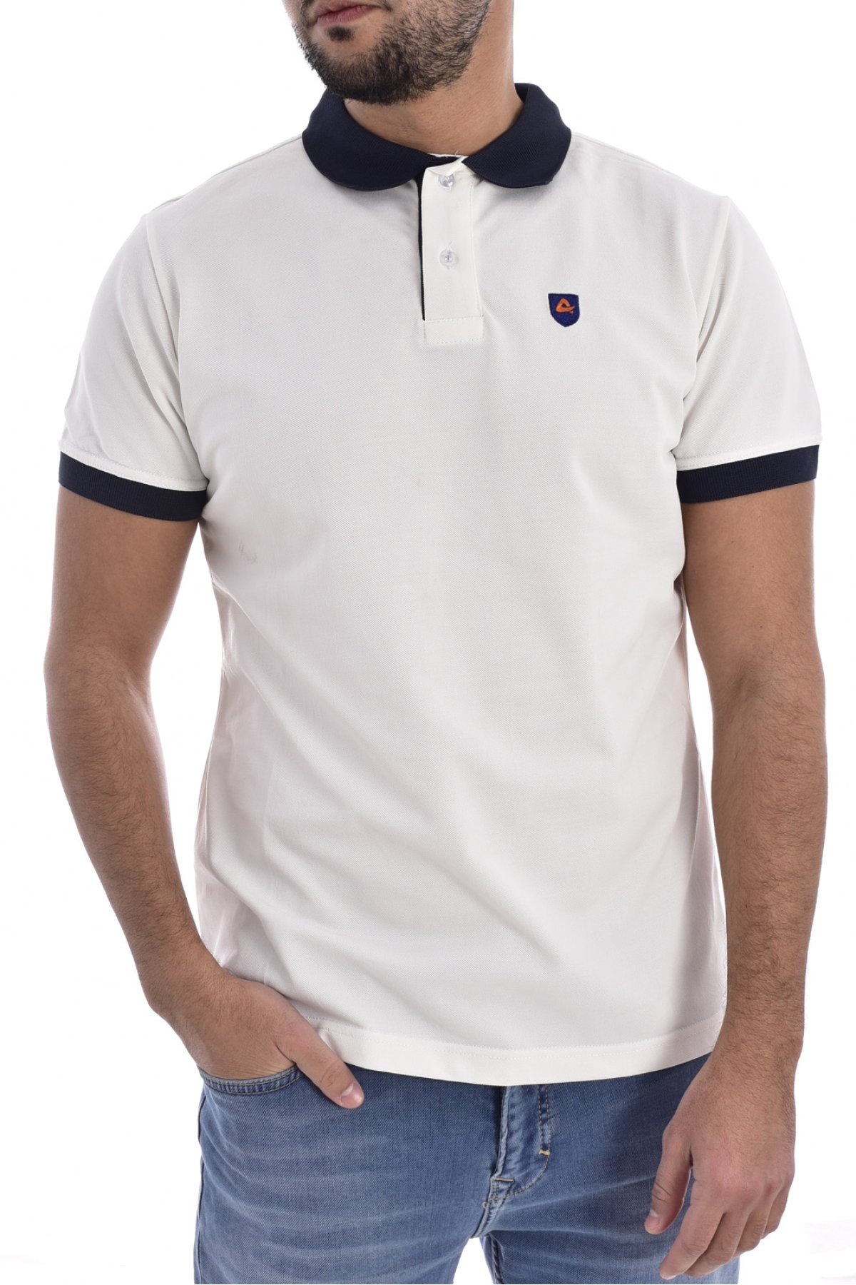 POLH01-1-Aura évolution