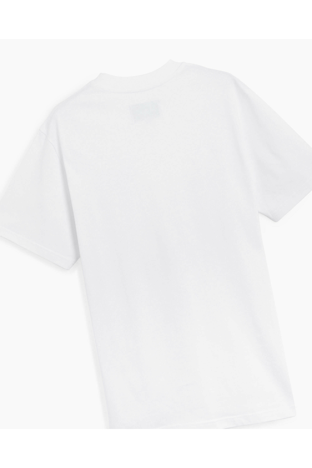 Casa blanca MS22-JTS-001