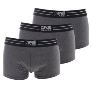 QXO01B JD003-Cavalli Class