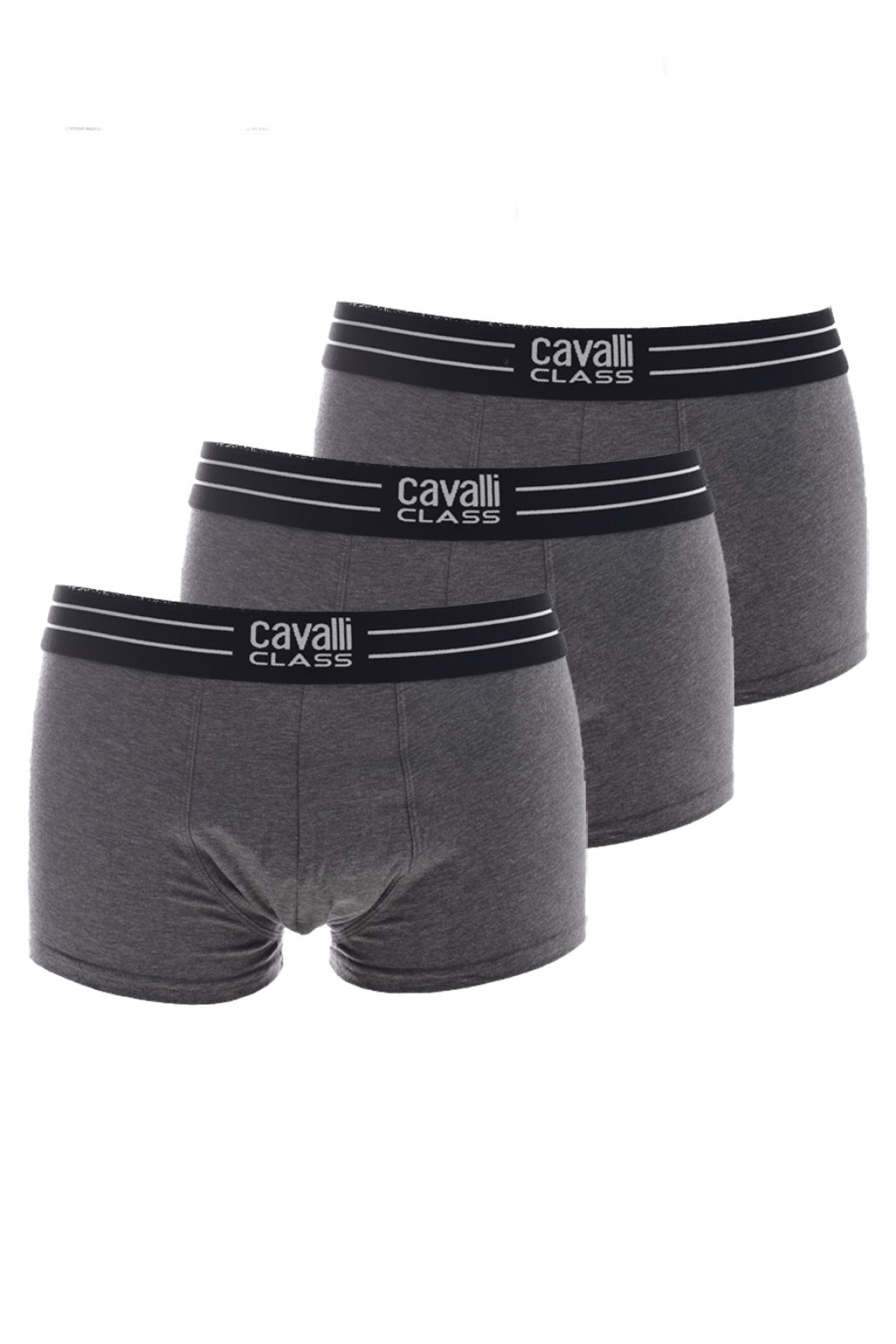 QXO01B JD003-Cavalli Class