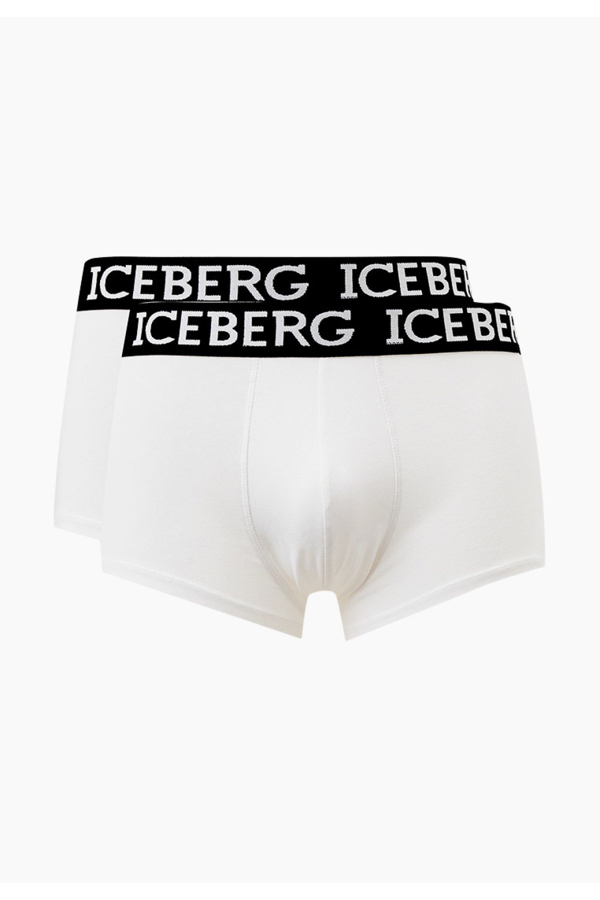 ICE1UTR02-Iceberg