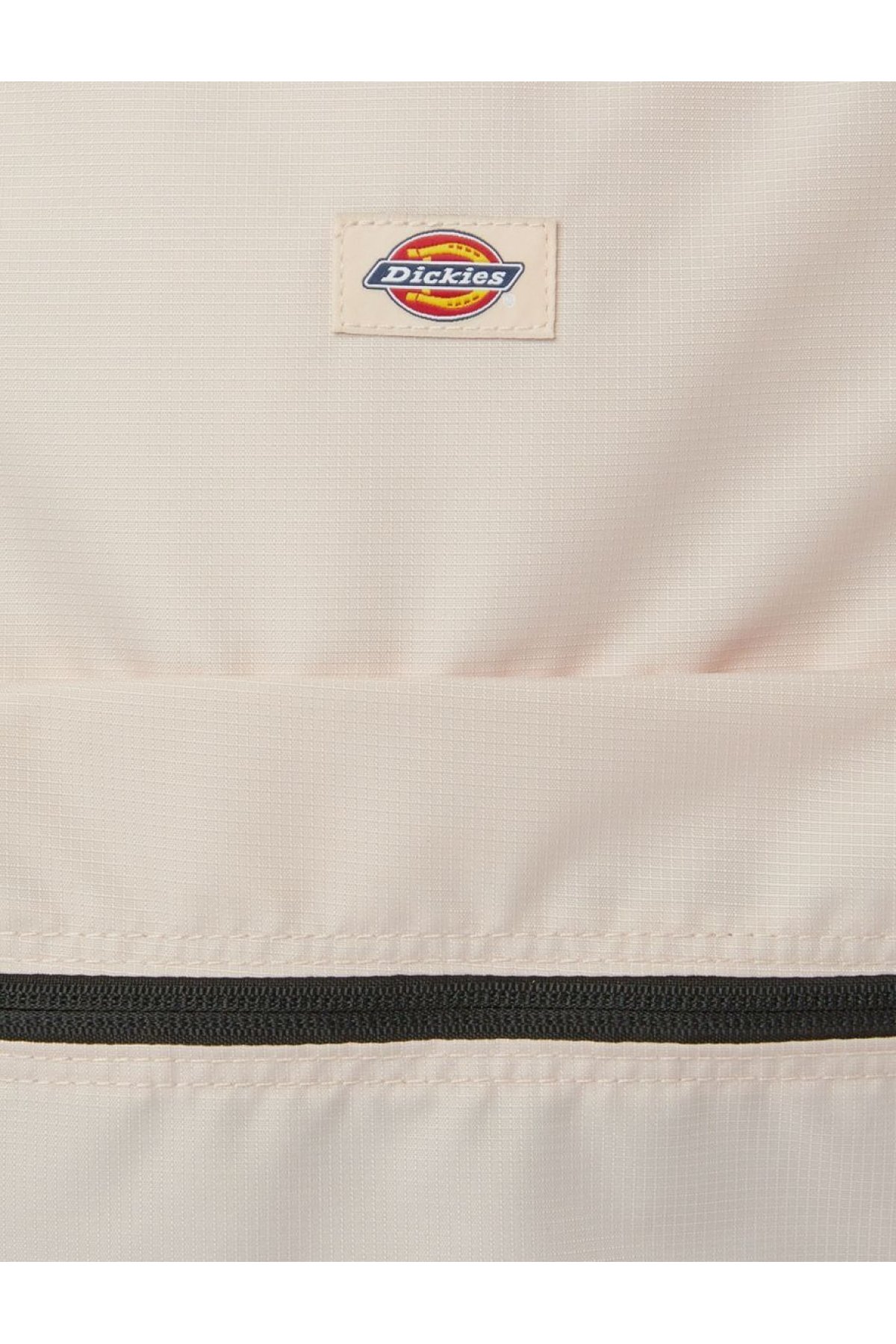 Dickies DK0A4XIQC501-OS