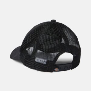 DK0A4XYGBLK1-OS-Dickies